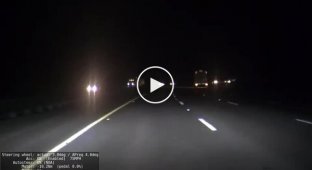 Нежданчик на ночной дороге в режиме автопилота