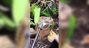 How to give a snake water