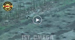 Ukrainian defenders successfully storm enemy positions in a forest belt