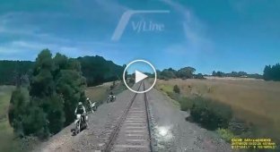 The driver couldn't believe his eyes when he saw what was happening on the railway tracks