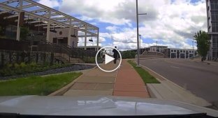 Тем временем в США: преступник не смог перехитрить полицейских