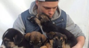 Спортсмены США забирают домой бродячих собак из Сочи (9 фото)