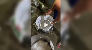 Making cakes in a pastry shop in India