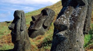 The mystery of Easter Island: who ate whom and who was guarded by the famous stone idols (7 photos)