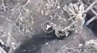Donetsk region, a Ukrainian FPV drone flies into a trench near a Russian military