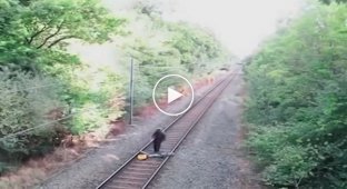 Железнодорожник спас пьяного велосипедиста за секунду до проезда поезда