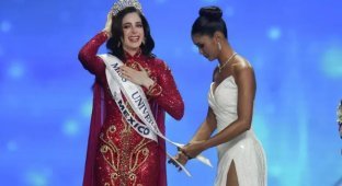 Конкурс краси "Міс Всесвіт" виграла мексиканка, яку організатор заходу раніше назвав "тупицею" (7 фото + 2 відео)