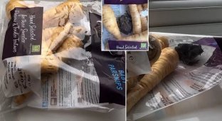 Live surprise in vegetable packaging (5 photos + 1 video)