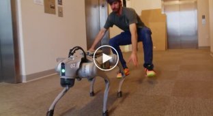 A Tough Robot Test