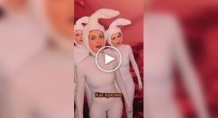 Пригоди сперматозоїдів