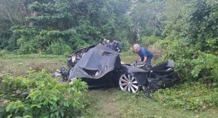 Tesla Model S упала со скалы в Пуэрто-Рико и превратилась в металлолом, а водитель получил лишь пару царапин (4 фото)