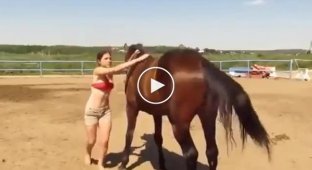 She saddled the horse. The horse decided to help the novice rider climb onto the horse