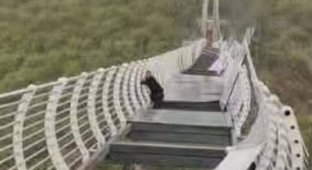 В Китае турист чуть не простился с жизнью на стеклянном мосту (4 фото + 1 видео)