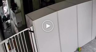 Обезьяна украла еду из дома женщины, а затем ударила ее