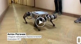 Ученые из МГУ разработали первую российскую робособаку - брата Boston Dynamics