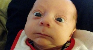 Уморительные лица младенцев в момент максимального сосредоточения (22 фото)