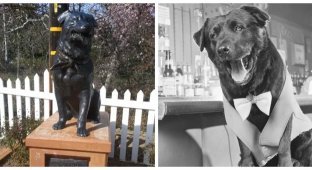 Bosco – Big Mayor of a Small Town (6 photos)