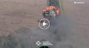 Border guards destroyed an enemy infantry fighting vehicle, hit the positions of the occupiers and eliminated Russian infantry in the Kupyansk direction