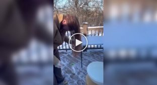 Одна з причин, чому тривалість життя чоловіків коротша, ніж у жінок