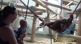 Милый орангутан пытается развлечь маленького ребенка