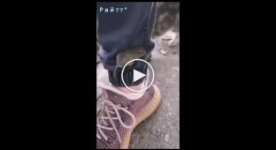 A cunning mouse escaped from a cat using a pedestrian's pants
