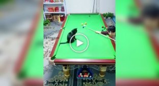 Billiards partner