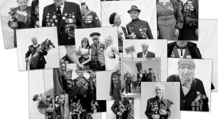 Ветераны Великой Отечественной (19 фото)