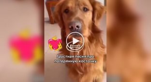 Пісня про втрачену кісточку