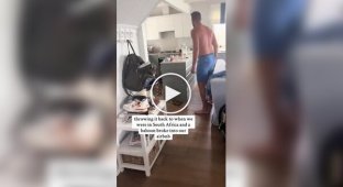 В Южной Африке бабуин пробрался в квартиру туристов и устроил фруктовый пир