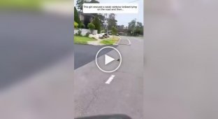 Невероятная благодарность: Птица привела друзей к своей спасительнице