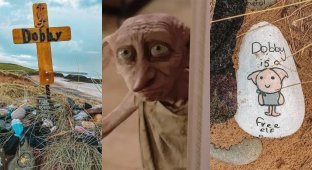 Harry Potter fans asked not to leave socks near Dobby's grave in Wales (5 photos)