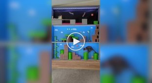 The guy built his cat an obstacle course in the style of Super Mario Bros.