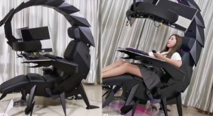 Императорское рабочее кресло "скорпион" с единственным недостатком (4 фото + 1 видео)