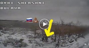 Ukrainian defenders struck enemy dugouts with FPV drones Wild Hornets