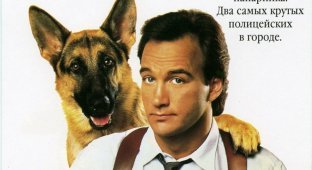 История пса-актера из фильма «К-9: Собачья работа», вышедшего 30 лет назад (13 фото)