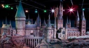 One of the largest parks based on "Harry Potter" has opened in Tokyo (7 photos)