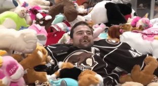 World record: hockey fans threw more than 100 thousand stuffed animals on the ice (1 photo + 3 videos)
