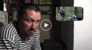 Скандал вокруг поисково-спасательного кинологического отряда Кемеровской области