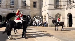 A soldier standing behind the royal stallion was hit below the belt - video