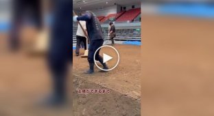 Как строят площадки для японской борьбы сумо