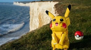 LEGO Pokémon (4 photos)
