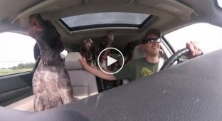The dogs find out that they are being taken to their favorite park and cannot contain their joy.
