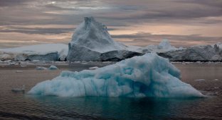 Ледяная Гренландия…или уже не ледяная? (33 фото)