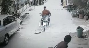 Indian security guard thwarts thieves' attempt to steal a bike