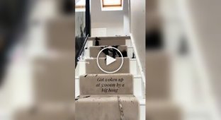 A woman woke up from a loud noise and noticed the criminal's gaze