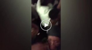 Момент обрушения пола на домашней вечеринке в США сняли на видео