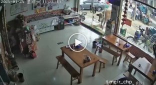 Curious cow walked into a Chinese cafe