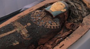 У Єгипті розкопали незаймані жрецькі поховання з великою кількістю заупокійного начиння (9 фото)