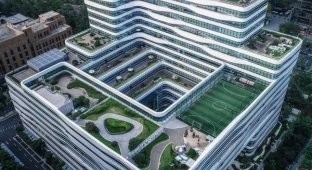 Cool and unexpected decisions of architects from different countries (14 photos)