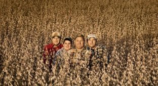 Американские фермеры (8 фотографий)